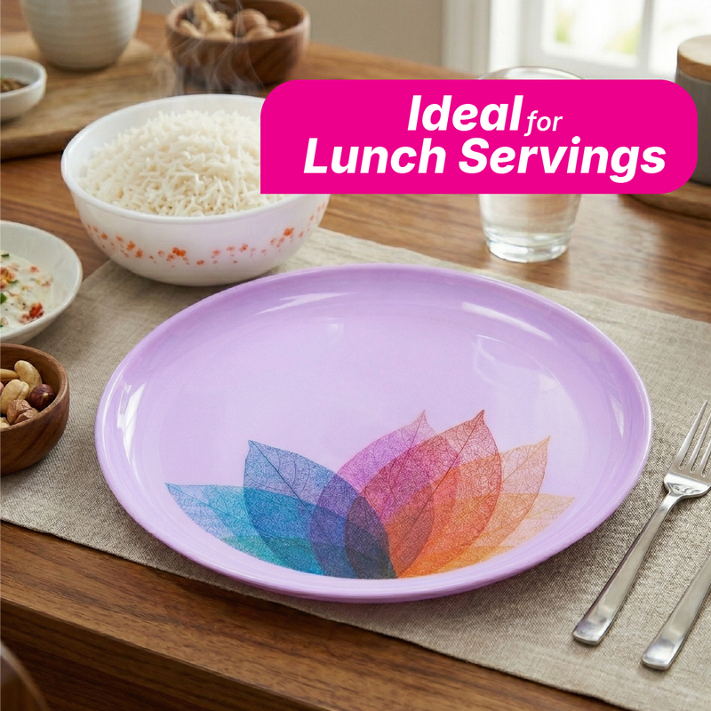 Premium Dining Set Dinner Plate - Colour - Pack of 6