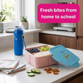 Buddy Lunch Box