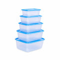 Essential Container 5 Piece (900 ml, 1.4 Ltr, 2.4 Ltr, 3.2 Ltr, 4.5 Ltr)