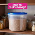 Everlast Container 25