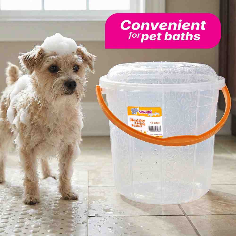 Milky Way 16 L Healthy Living Trans Bucket - 6 colour pack 12