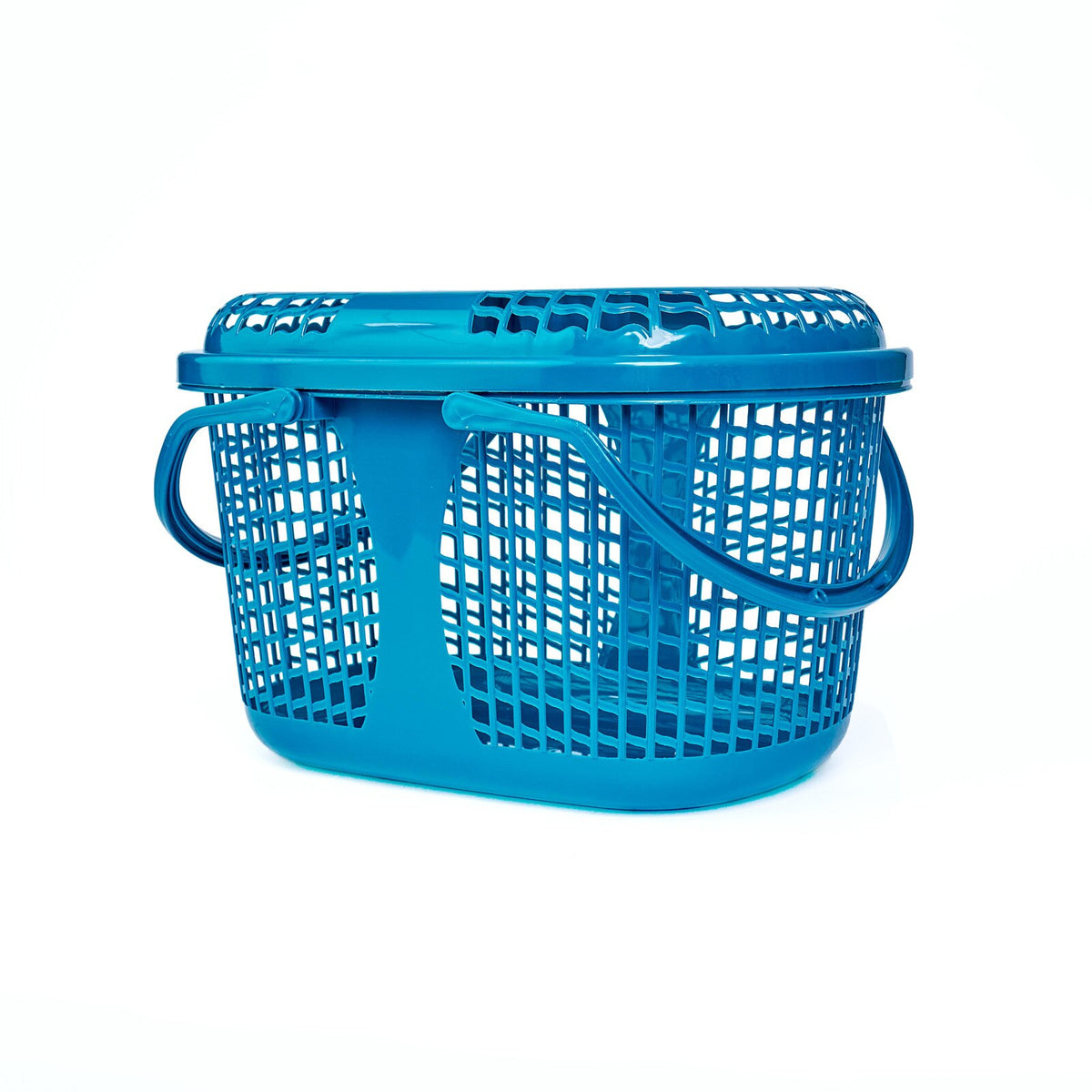 Universal Oval Basket - 6 colours pack of 12