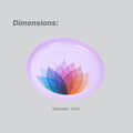 Premium Dining Set Dinner Plate - Colour - Pack of 6