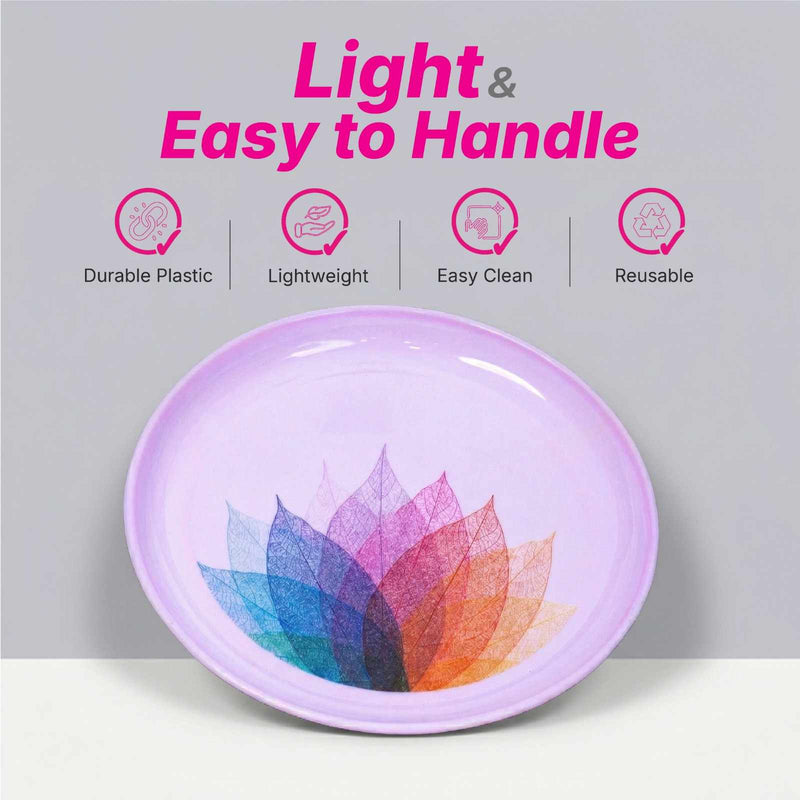 Premium Dining Set Dinner Plate - Colour - Pack of 6