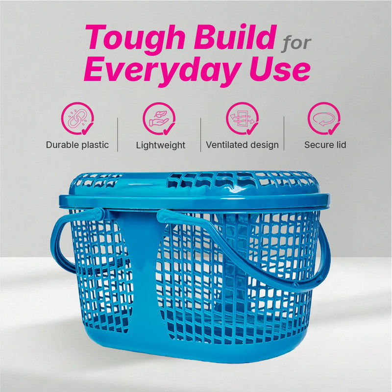 Universal Oval Basket - 6 colours pack of 12