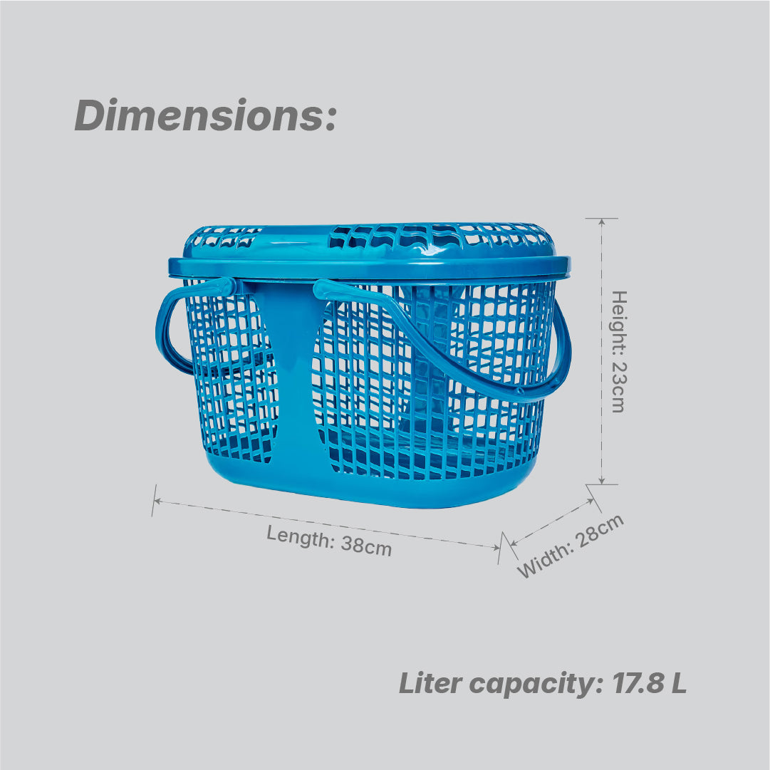 Universal Oval Basket - 6 colours pack of 12